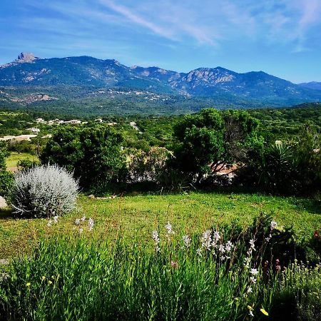 Appartements Avec Jardin Entre Porto-Vecchio Et Figari - Casa Mattiste Sotta Exteriör bild