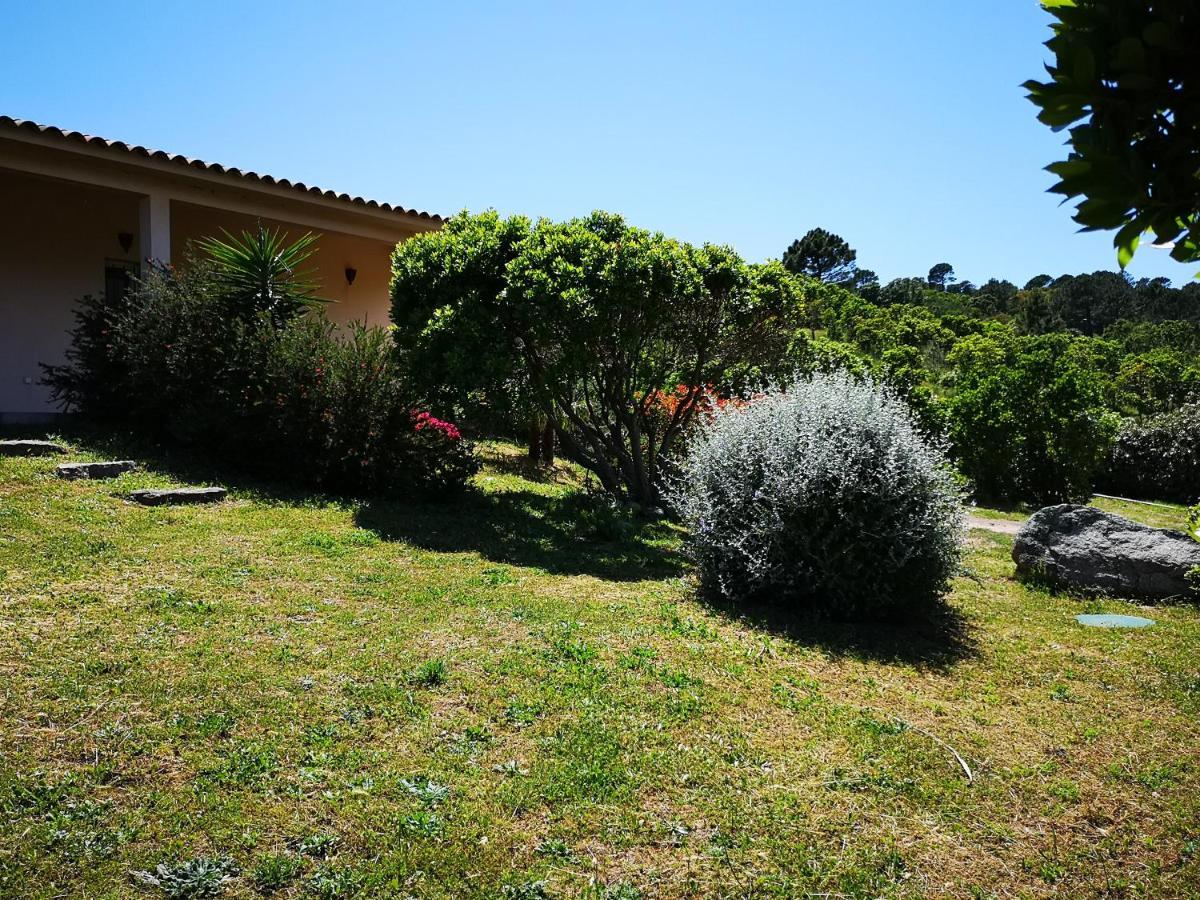 Appartements Avec Jardin Entre Porto-Vecchio Et Figari - Casa Mattiste Sotta Exteriör bild