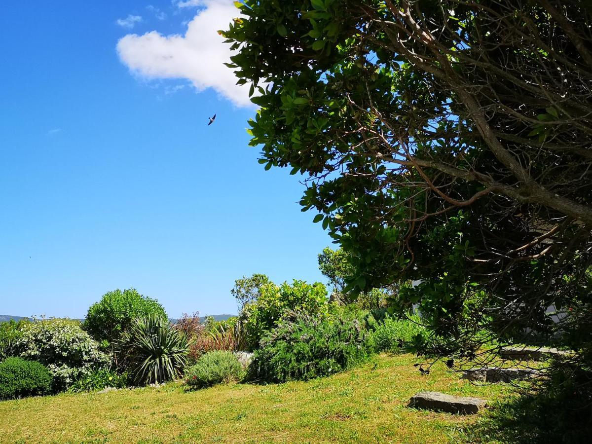 Appartements Avec Jardin Entre Porto-Vecchio Et Figari - Casa Mattiste Sotta Exteriör bild
